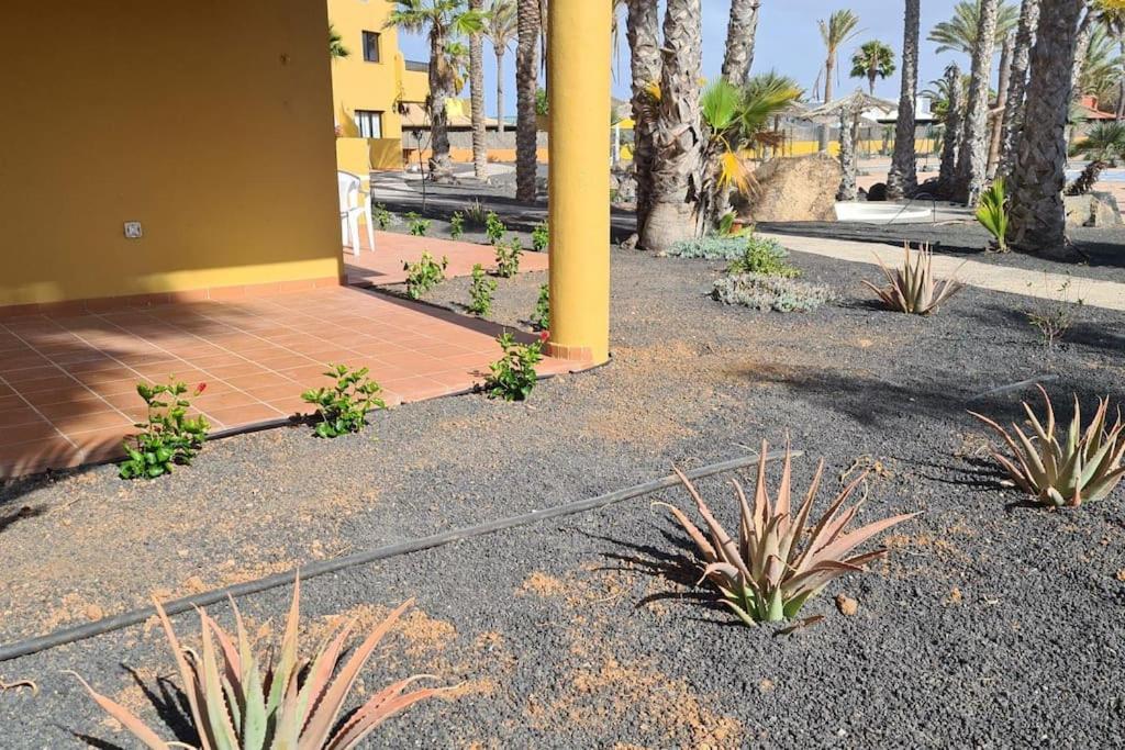 Апартаменты Beautiful Garden Flat Nearly Refurbished Free Wifi Коральео Экстерьер фото